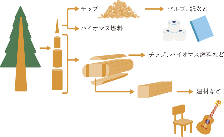 パルプ、紙、チップ、バイオマス燃料、建材など
