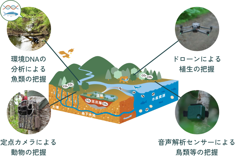 環境DNAの分析による魚類の把握・定点カメラによる動物の把握・ドローンによる植生の把握・音声解析センサーによる鳥類等の把握